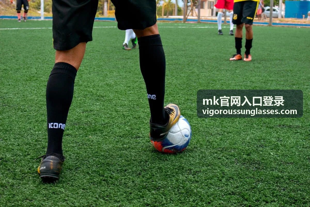 mk官网入口登录选款指南脸型搭配太阳镜示意