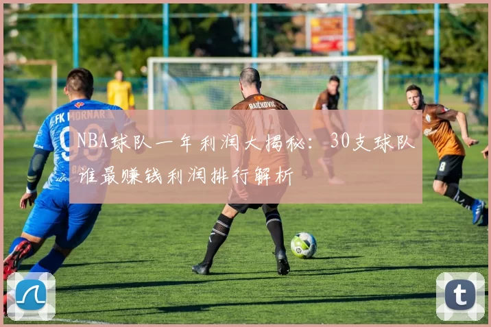 NBA球队一年利润大揭秘:30支球队谁最赚钱利润排行解析