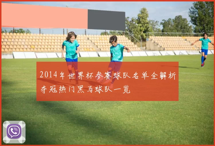 2014年世界杯参赛球队名单全解析夺冠热门黑马球队一览