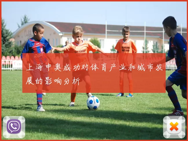 上海申奥成功对体育产业和城市发展的影响分析
