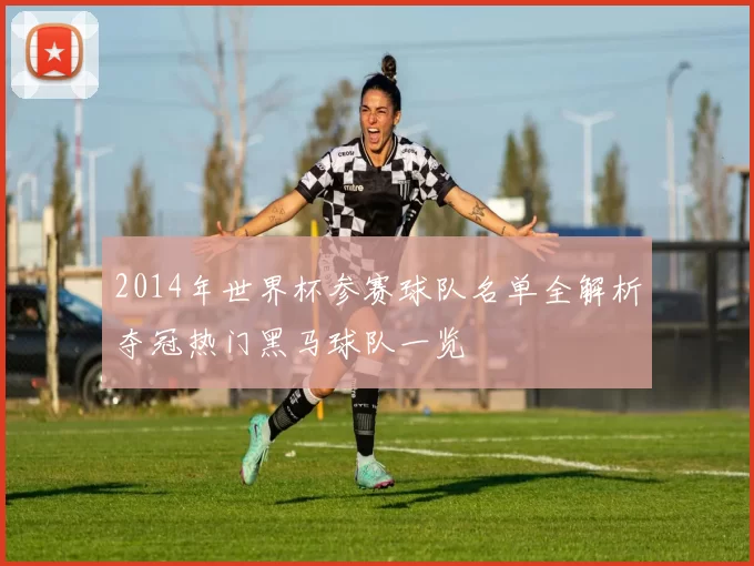 2014年世界杯参赛球队名单全解析夺冠热门黑马球队一览